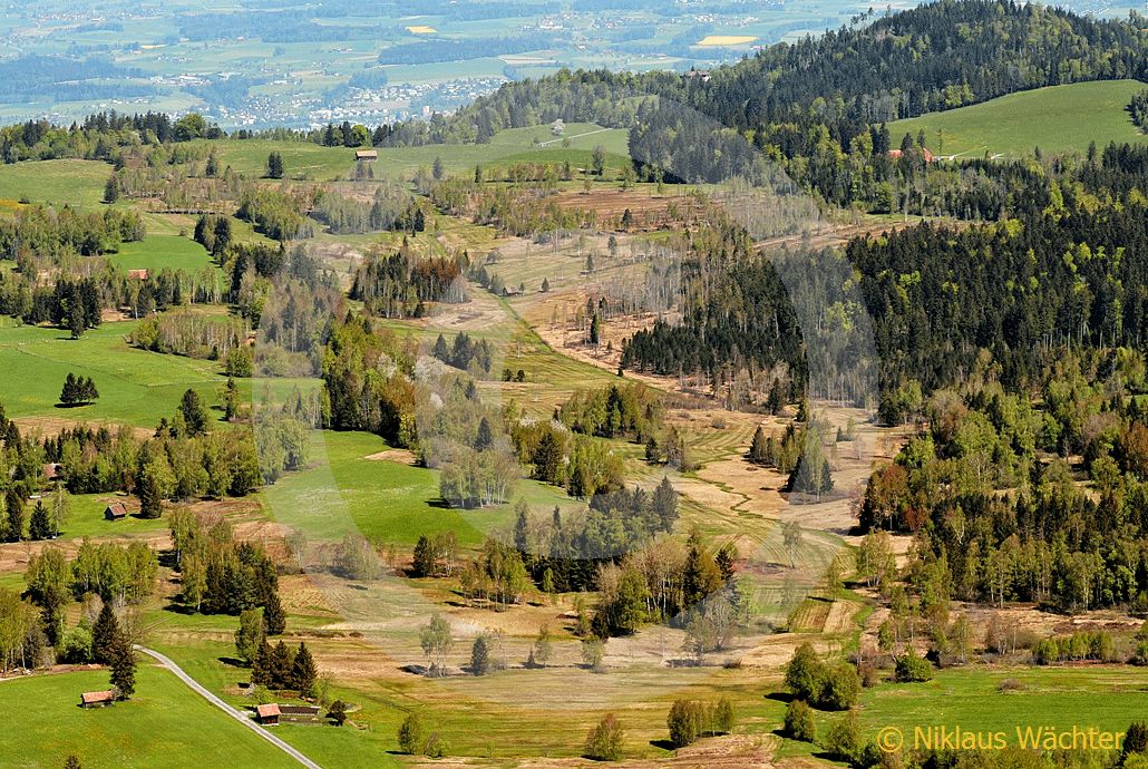 Foto: Das Hochmoor auf dem Zugerberg. (Luftaufnahme von Niklaus Wächter)