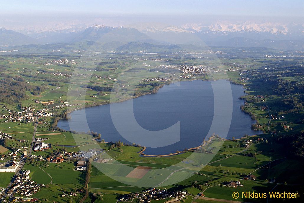 Foto: Der Baldeggersee mit dem Alpenkamm im Hintergrund. (Luftaufnahme von Niklaus Wächter)