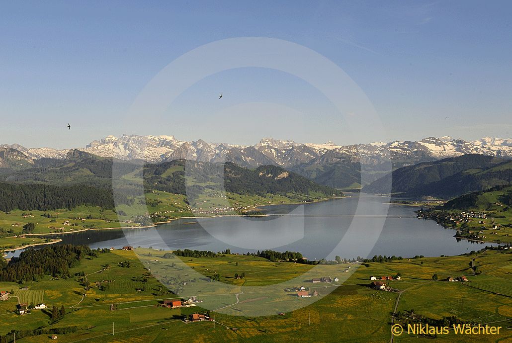 Foto: Der Sihlsee im Sommer. (Luftaufnahme von Niklaus Wächter)