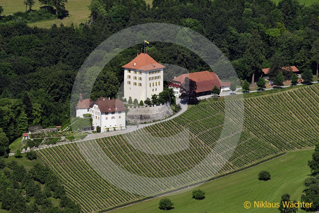 Foto: Schloss Heidegg bei Hitzkirch LU. (Luftaufnahme von Niklaus Wächter)