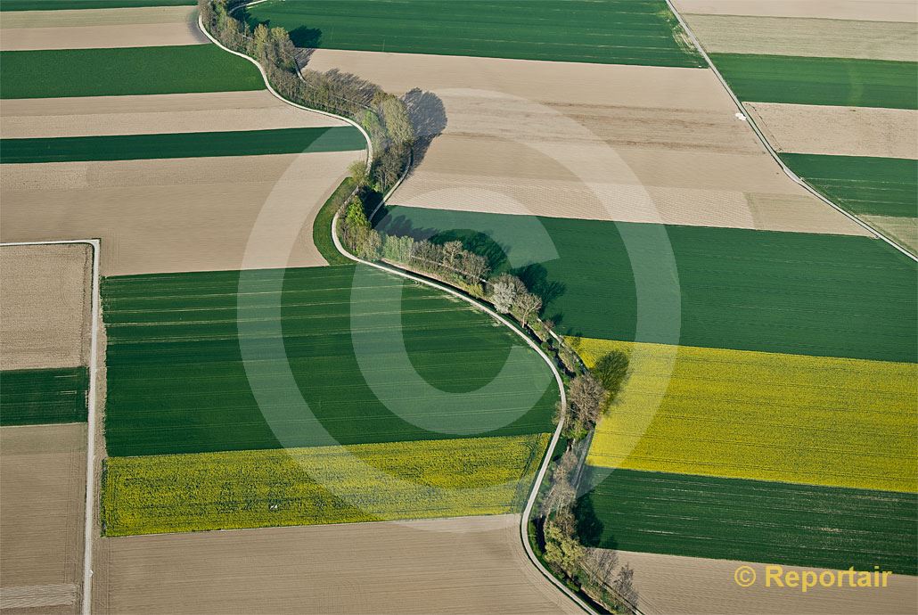 Foto: LArbogne durchschlängelt die Felder bei Dompierre FR.  .. (Luftaufnahme von Niklaus Wächter)