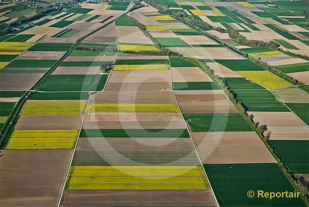 Foto: Felder in der La Broye - Ebene südlich vom Murtensee VD.   .. (Luftaufnahme von Niklaus Wächter)