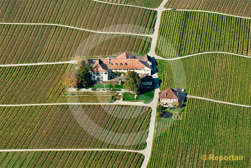 Foto: Winzerhof in den Weinbergen bei  Rolle VD. (Luftaufnahme von Niklaus Wächter)