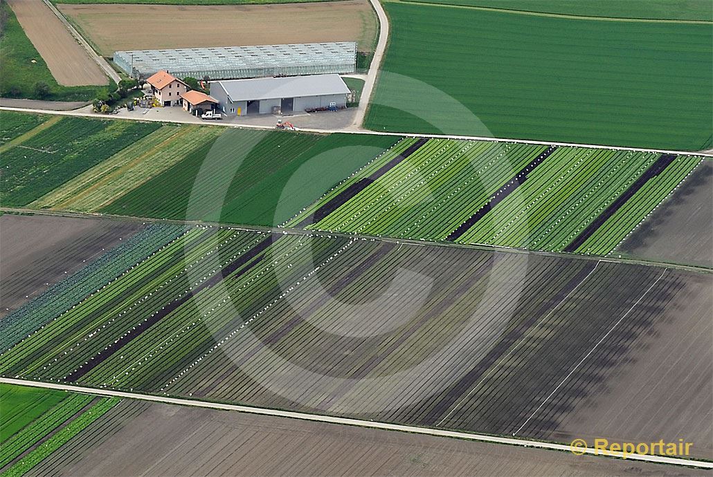 Foto: Gemüse-Hof im Grossen Moos bei Kerzers FR.. (Luftaufnahme von Niklaus Wächter)