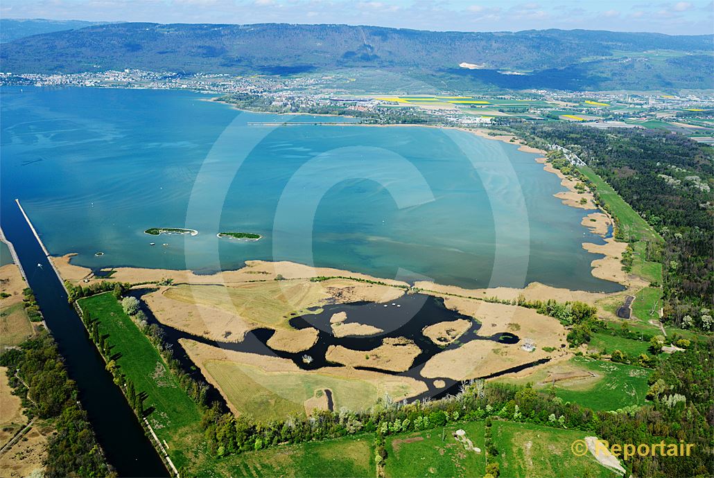Foto: Fanel am Neuenburgersee zählt zu den bedeutendsten Vogelschutzgebieten der Schweiz. (Luftaufnahme von Niklaus Wächter)