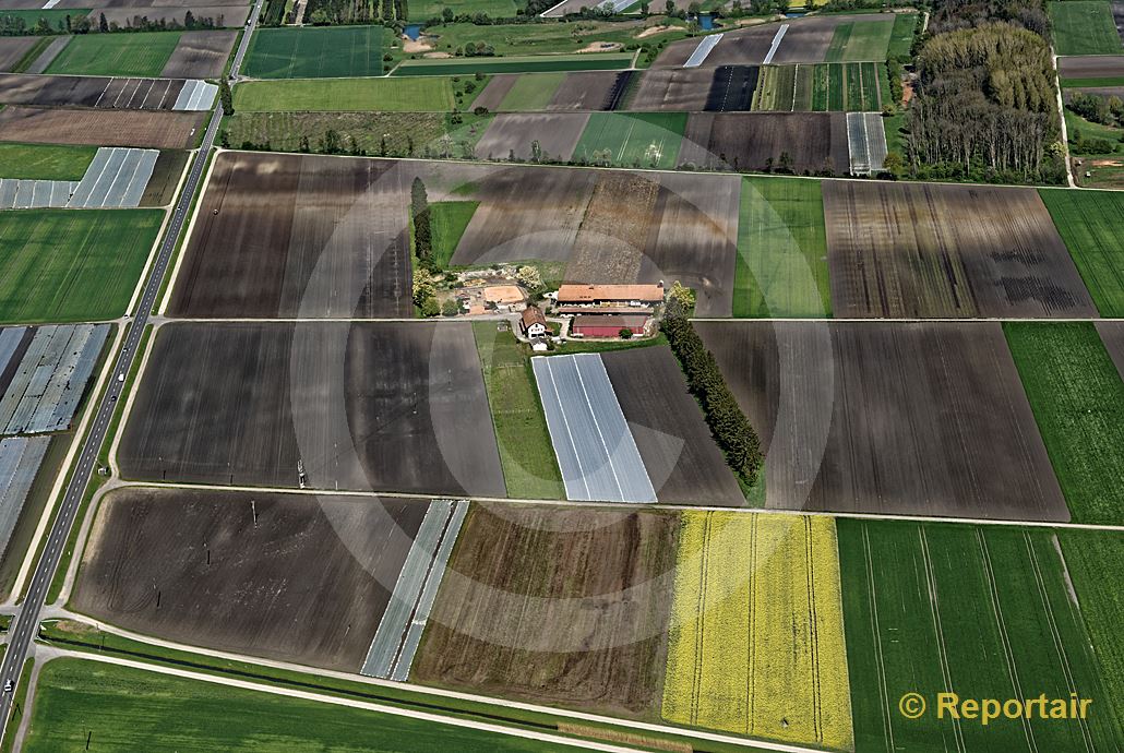 Foto: Feldermosaik im Grossen Moos bei Treiten BE. (Luftaufnahme von Niklaus Wächter)