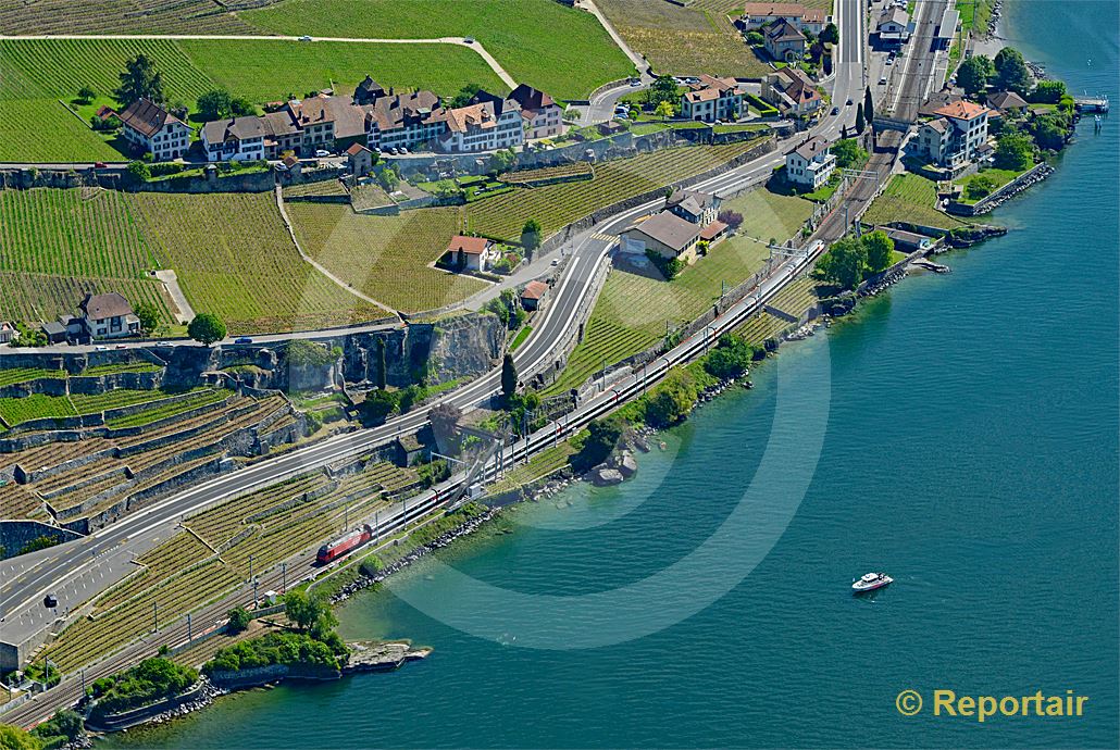 Foto: Das Ufer des Genfersees - hier bei Rivaz VD - ist überall dicht befahren. (Luftaufnahme von Niklaus Wächter)