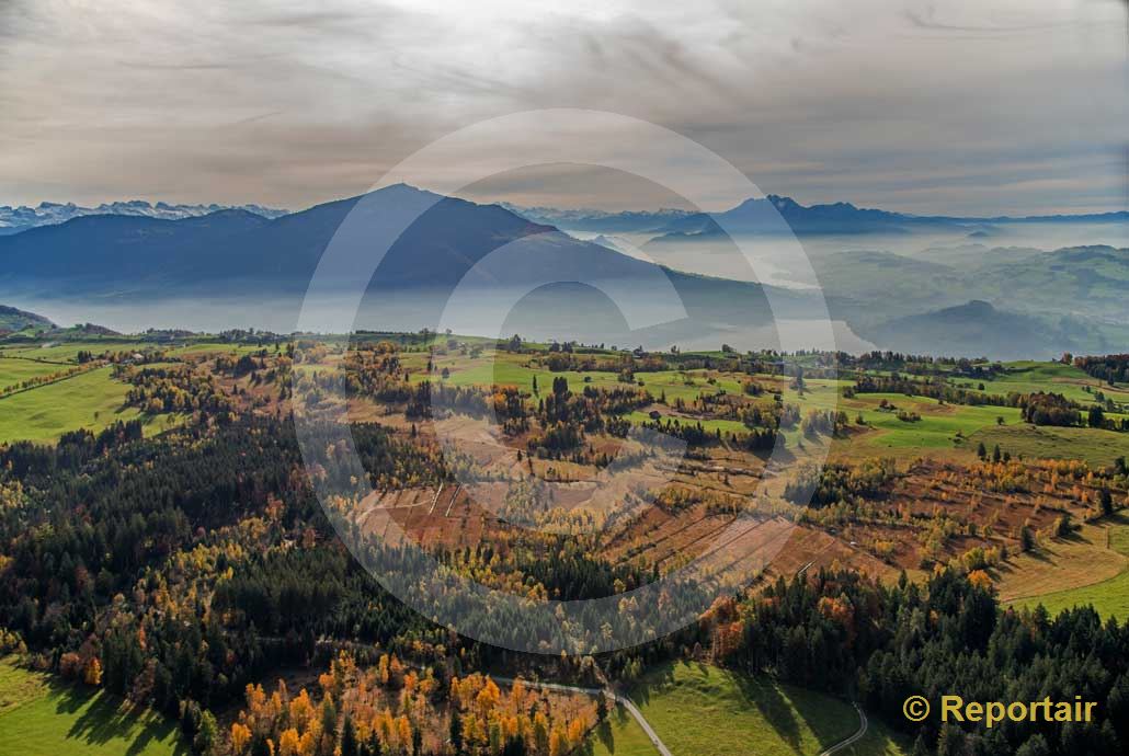 Foto: Hochmoor auf dem Zugerberg. (Luftaufnahme von Niklaus Wächter)