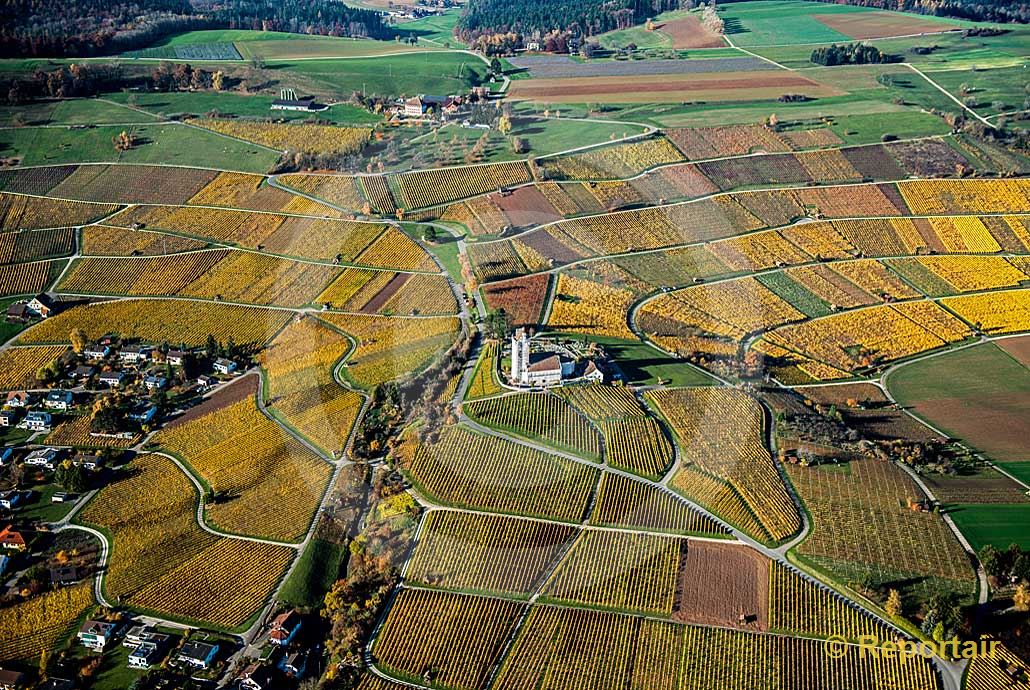 Foto: Goldener Herbst in Hallau SH. (Luftaufnahme von Niklaus Wächter)