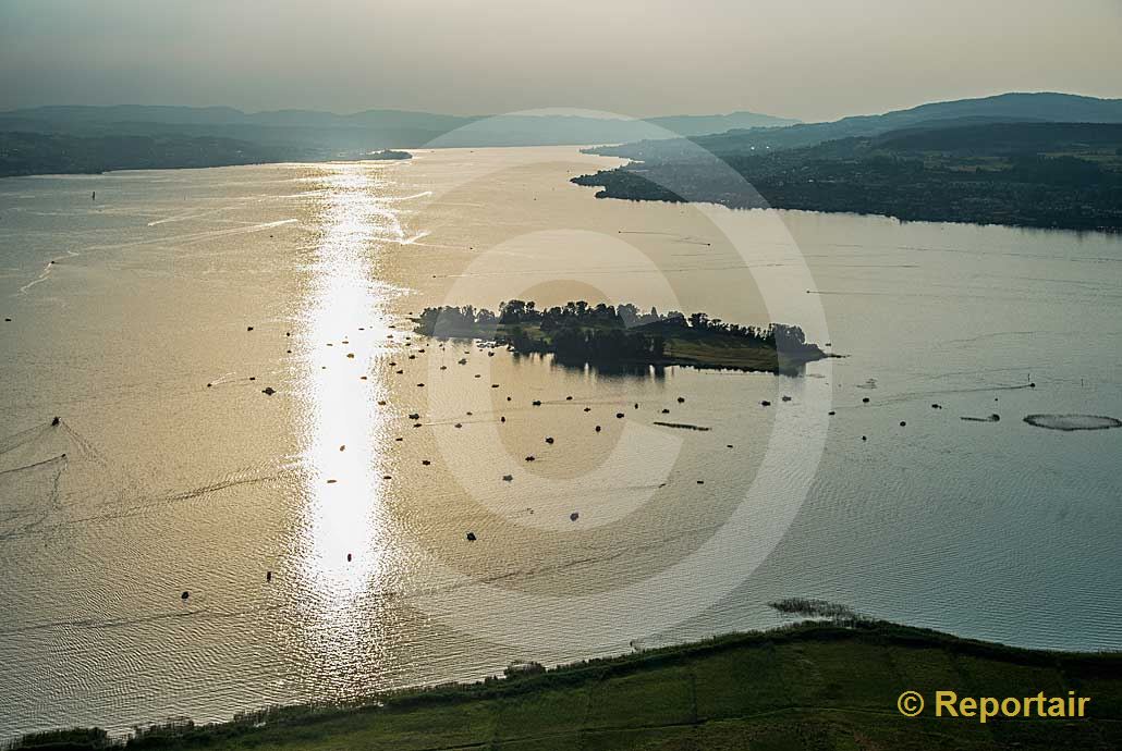 Foto: Die Insel Ufenau im Zürichsee in der hochsommerlichen Abendsonne.. (Luftaufnahme von Niklaus Wächter)