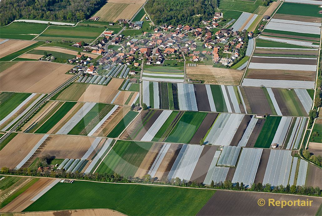 Foto: Treiten BE im Grossen Moos.. (Luftaufnahme von Niklaus Wächter)