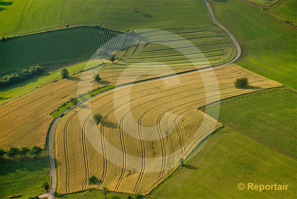 Foto: Sommerfelder bei Duggingen (BL).. (Luftaufnahme von Niklaus Wächter)