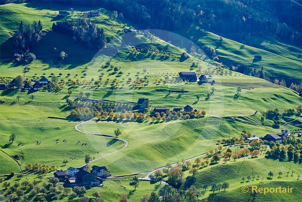 Foto: Bauernhöfe im Abendlicht am Nordfuss der Rigi.. (Luftaufnahme von Niklaus Wächter)