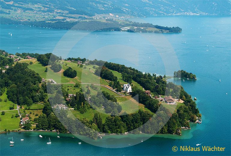 Foto: Das Meggenhorn am Vierwaldstättersee mit der Halbinsel Hertenstein im Hintergrund. (Luftaufnahme von Niklaus Wächter)