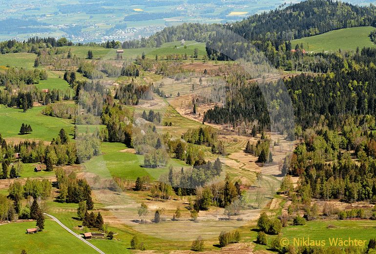 Foto: Das Hochmoor auf dem Zugerberg. (Luftaufnahme von Niklaus Wächter)