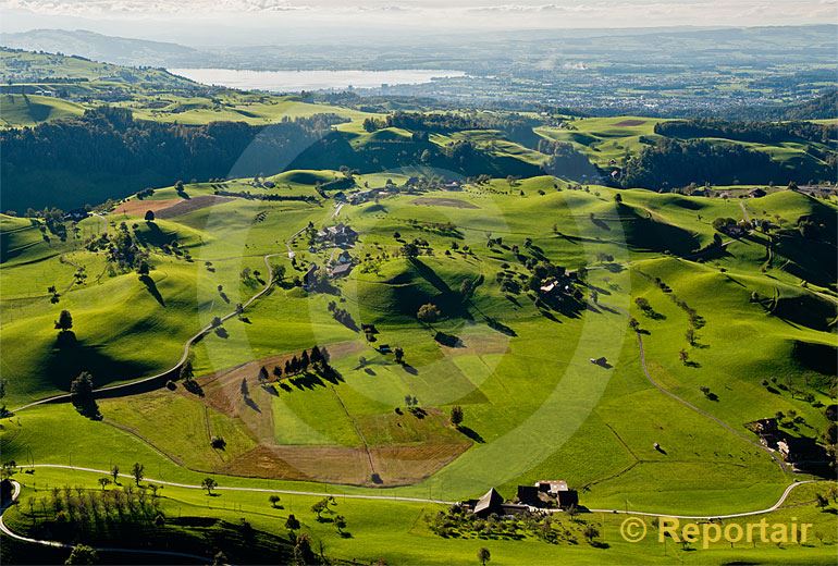 Foto: Eine sogenannte Moränenlandschaft bei Menzingen (ZG). Im Hintergrund der Zugersee.. (Luftaufnahme von Niklaus Wächter)