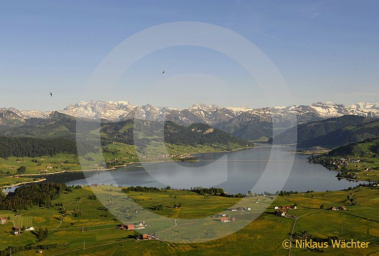 Foto: Der Sihlsee im Sommer. (Luftaufnahme von Niklaus Wächter)