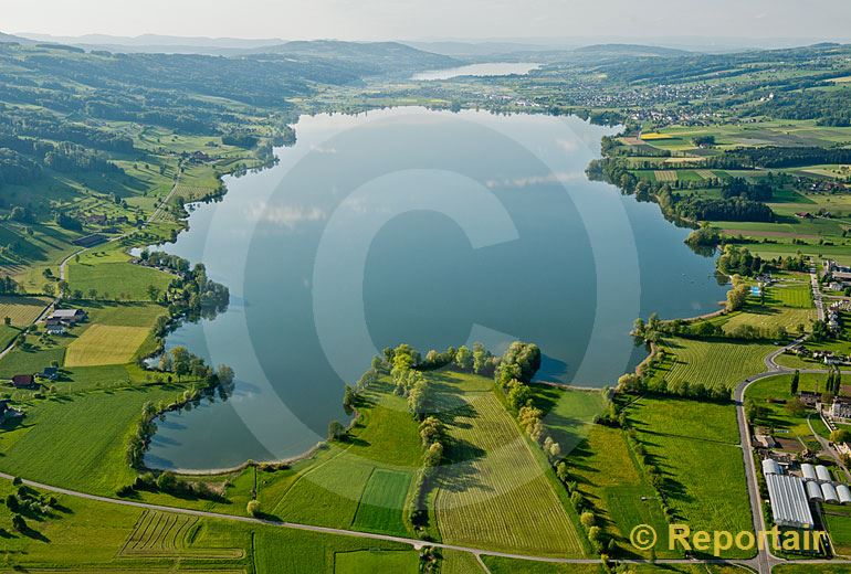 Foto: Der Baldeggersee nit dem Hallwilersee im Hintergrund.. (Luftaufnahme von Niklaus Wächter)