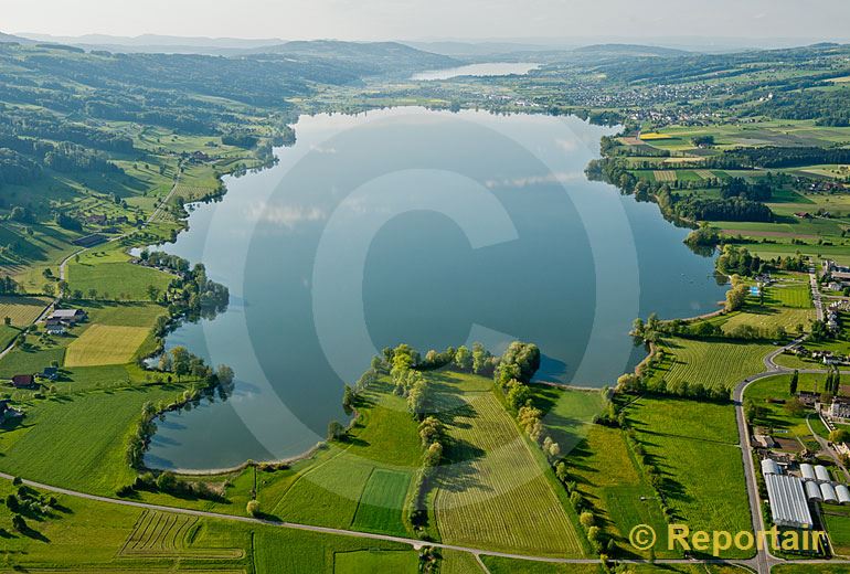 Foto: Der Baldeggersee nit dem Hallwilersee im Hintergrund.. (Luftaufnahme von Niklaus Wächter)