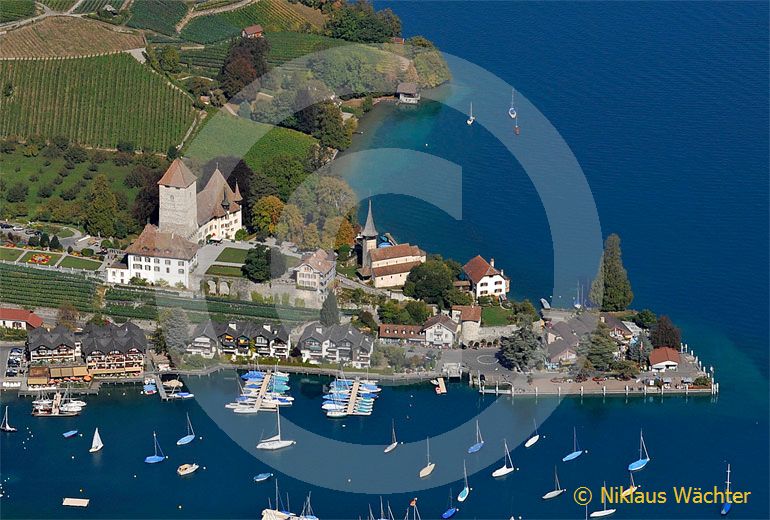 Foto: Schloss Spiez. (Luftaufnahme von Niklaus Wächter)