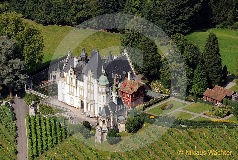 Foto: Luftaufnahme Schloss Meggerhorn in Meggen. (Luftaufnahme von Niklaus Wächter)
