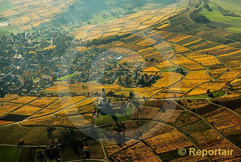 Foto: Goldener Herbst in Hallau SH. (Luftaufnahme von Niklaus Wächter)