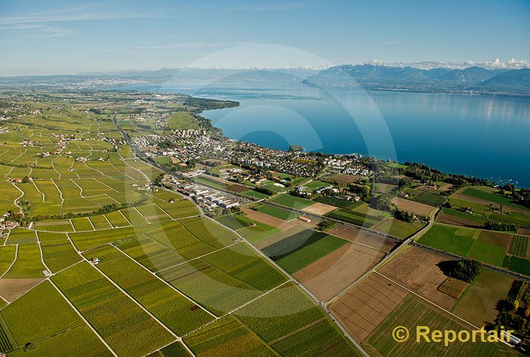 Foto: Am Genfersee bei Rolle (VD).. (Luftaufnahme von Niklaus Wächter)