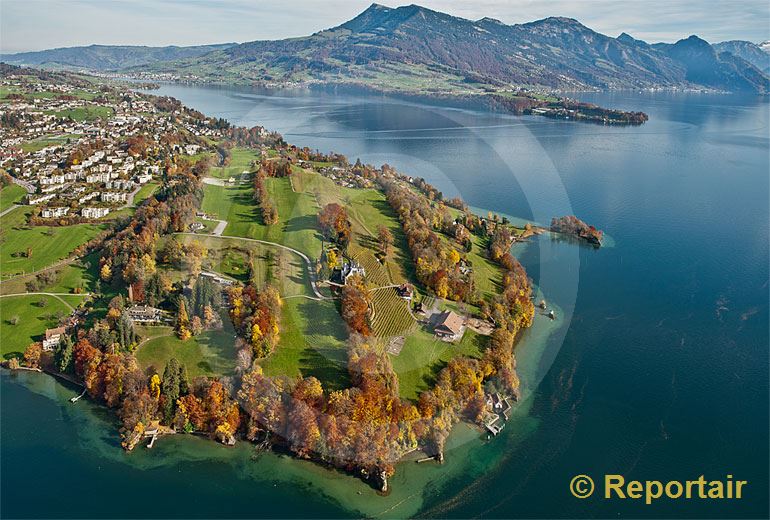 Foto: Meggenhorn im Herbst und die Rigi im Hintergrund. (Luftaufnahme von Niklaus Wächter)