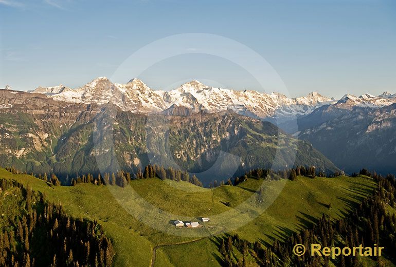 Foto: Harderkamm mit Alpenkette BE. (Luftaufnahme von Niklaus Wächter)