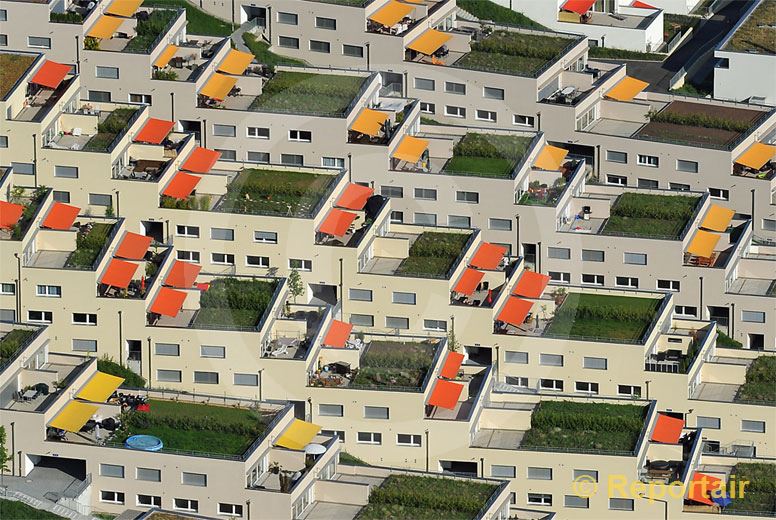 Foto: Terrassenhäuser.. (Luftaufnahme von Niklaus Wächter)