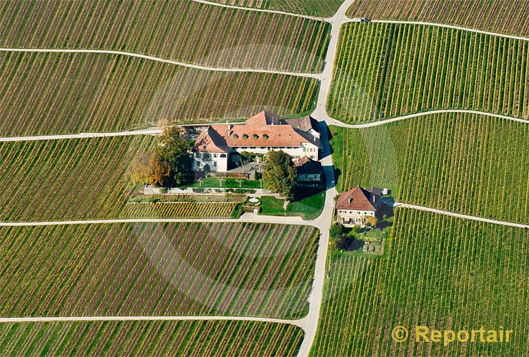 Foto: Winzerhof in den Weinbergen bei  Rolle VD. (Luftaufnahme von Niklaus Wächter)