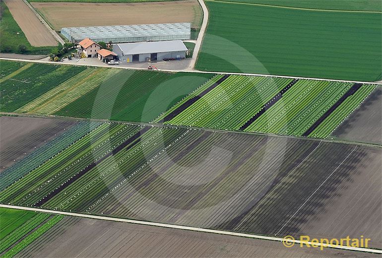 Foto: Gemüse-Hof im Grossen Moos bei Kerzers FR.. (Luftaufnahme von Niklaus Wächter)