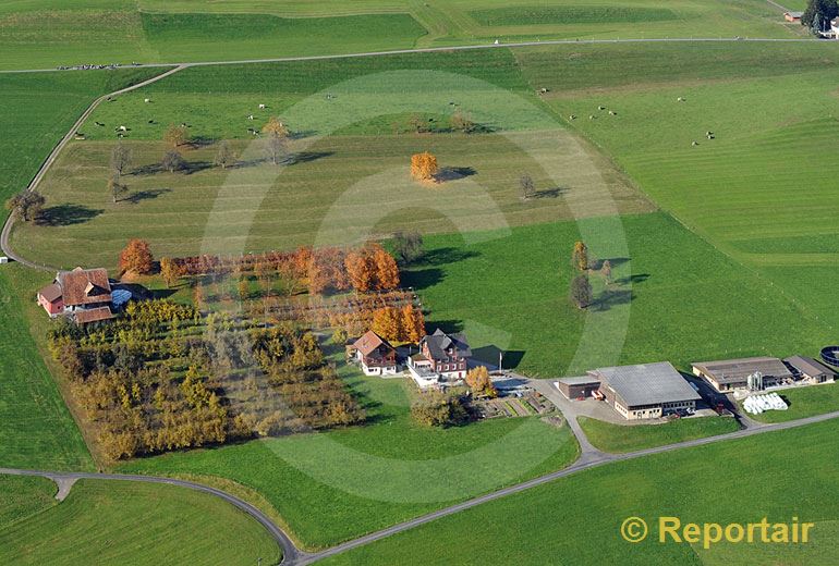 Foto: Herbstlicher Hof bei Kuessnacht am Rigi SZ.. (Luftaufnahme von Niklaus Wächter)