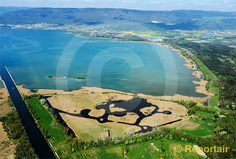 Foto: Fanel am Neuenburgersee zählt zu den bedeutendsten Vogelschutzgebieten der Schweiz. (Luftaufnahme von Niklaus Wächter)