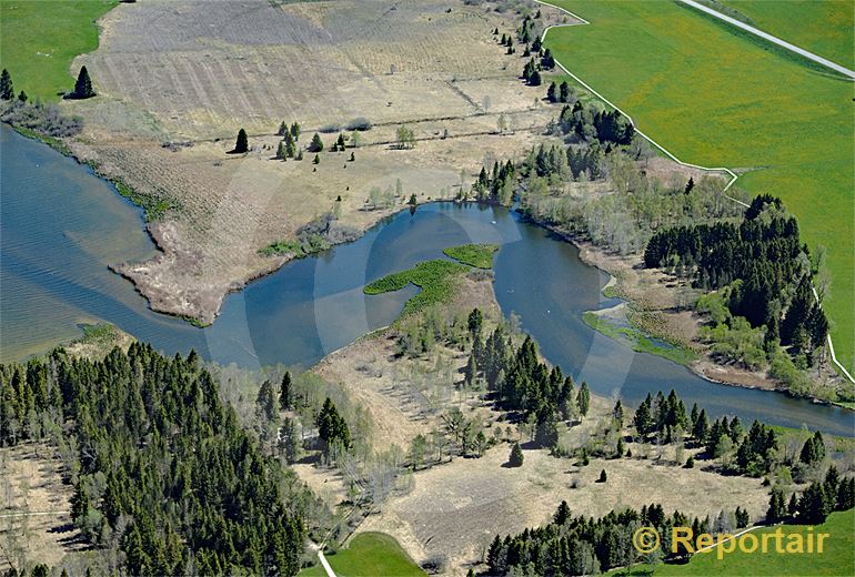 Foto: Die L Orbe mündet in den Lac de Joux VD. (Luftaufnahme von Niklaus Wächter)