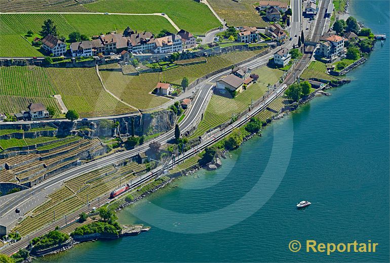 Foto: Das Ufer des Genfersees - hier bei Rivaz VD - ist überall dicht befahren. (Luftaufnahme von Niklaus Wächter)