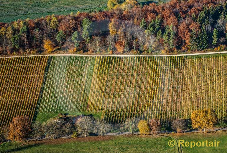 Foto: Herbst im Klettgau SH. (Luftaufnahme von Niklaus Wächter)