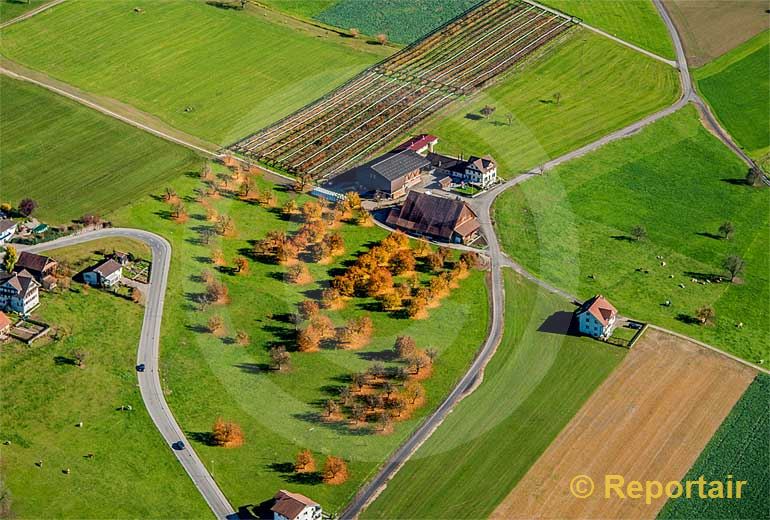 Foto: Goldene Zeiten auf einem Bauernhof bei Eich LU. (Luftaufnahme von Niklaus Wächter)