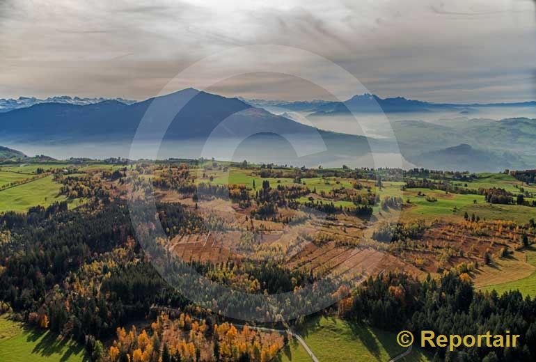 Foto: Hochmoor auf dem Zugerberg. (Luftaufnahme von Niklaus Wächter)