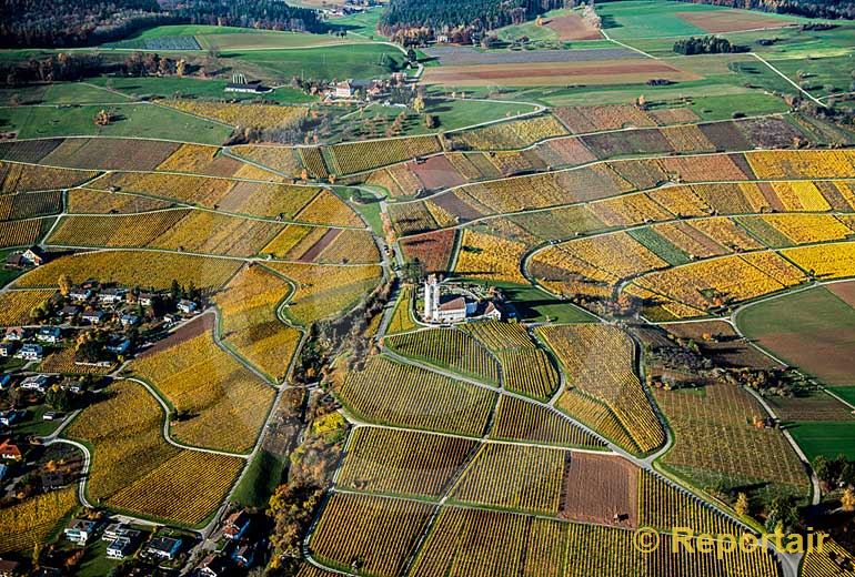 Foto: Goldener Herbst in Hallau SH. (Luftaufnahme von Niklaus Wächter)