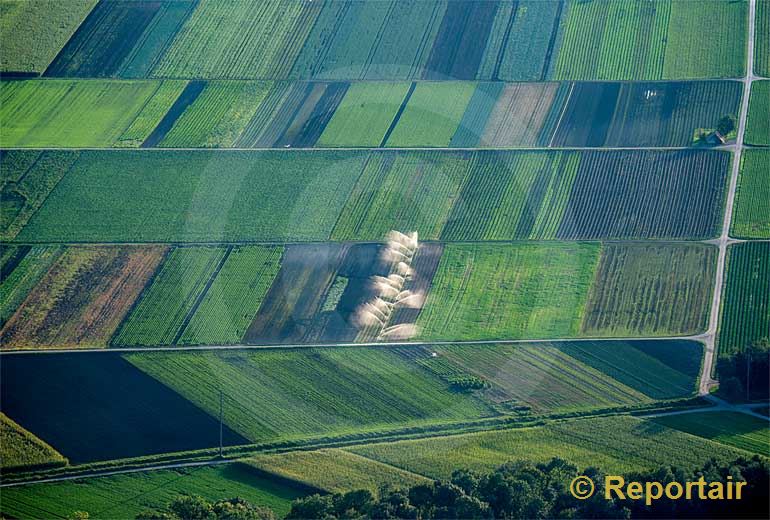 Foto: Künstlicher Regen im Grossen Moos bei Kerzers (FR).. (Luftaufnahme von Niklaus Wächter)