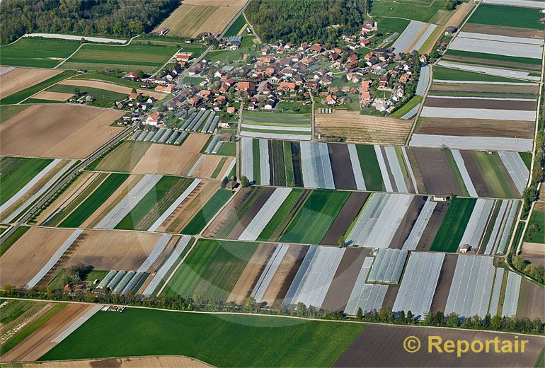 Foto: Treiten BE im Grossen Moos.. (Luftaufnahme von Niklaus Wächter)