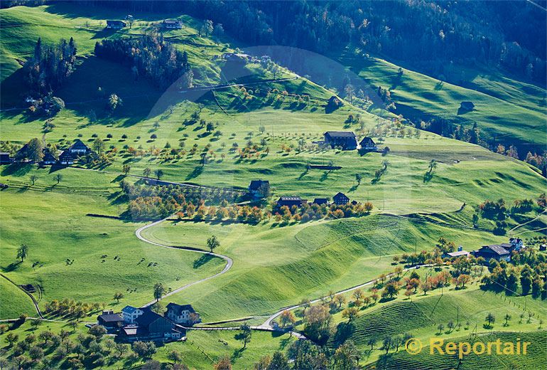 Foto: Bauernhöfe im Abendlicht am Nordfuss der Rigi.. (Luftaufnahme von Niklaus Wächter)