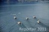 Luftaufnahme SCHIFFFAHRT/Dampferparade Vierwaldstaettersee - Foto Dampferparade Luzern 1670