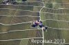 Luftaufnahme Kanton Waadt/Weinberge am Genfersee - Foto Weinberge 6611
