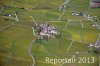 Luftaufnahme Kanton Waadt/Weinberge am Genfersee - Foto Weinberge 6643