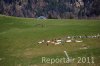 Luftaufnahme Kanton Zuerich/Alp Scheidegg - Foto Alp Scheidegg9673