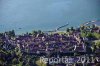 Luftaufnahme Kanton Fribourg/Murten - Foto Murten 2378