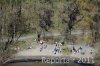 Luftaufnahme Kanton Zug/Zugersee/Zugersee FKK-Strand - Foto FKK Zugersee 02April9548