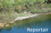 Luftaufnahme Kanton Zug/Zugersee/Zugersee FKK-Strand - Foto Zugersee FKK-Strand 6136